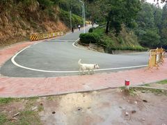 -火炉山森林公园