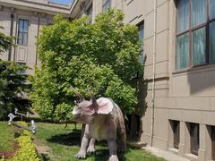 -国家自然博物馆