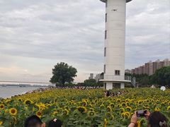 -武昌江滩