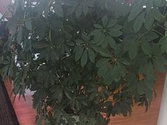 -苏州东昌新豪汽车销售服务有限公司