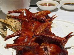 -甄御•海鲜新青岛菜(麦岛店)