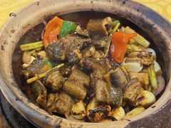 生啫金边花鳝-天宝食坊·啫啫煲大排档(西华路店)