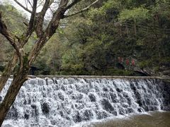 -石台牯牛降景区
