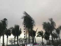 -海棠湾聚鼎香海鲜坊(海昌梦幻不夜城店)