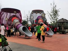 -枫香湖儿童公园