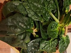 -巴奴毛肚火锅(龙湖锦艺城店)