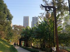 -重庆彩云湖湿地公园