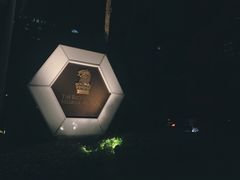 -新加坡丽思卡尔顿美年酒店