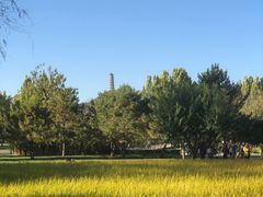 -北坞公园