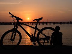 -宝安西湾红树林湿地公园