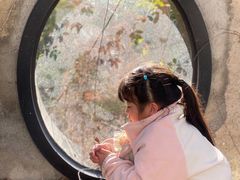 -得丘礼享谷·玉兰苑