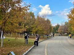 -长春世界雕塑园冰雪艺术天地