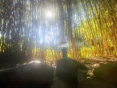 -森波拉火山温泉