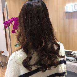 -曼都发型·臻选