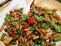 -陶缘一号·四季缘·老字号顺德菜·户外婚礼家宴(西滘店)