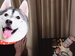 -艾莱克咖啡面包坊·甜心对白