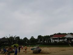 -碧海金沙