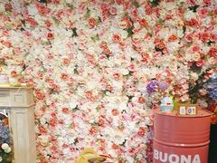 -百好乐宠物友好餐厅(朝外大街店)