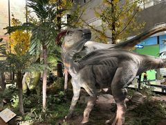 -湖南省地质博物馆