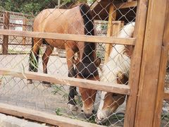 -静之湖度假区