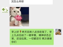 -御宝贝24h宠物医院·转诊中心·CT核磁血透中心(厦门总院)
