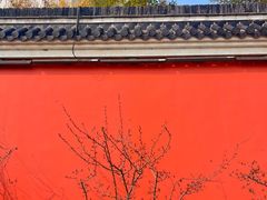 -句容茅山景区