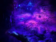 -栾川竹海野生动物园