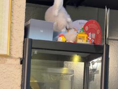 -逃脱反斗城沉浸剧情密室(北京路店)