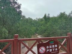 -大亚湾红树林城市湿地公园