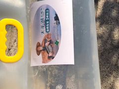 -食神鱼头佛跳墙(百子湾旗舰店)