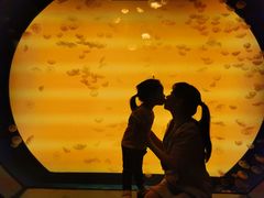 -沈阳海洋探索中心