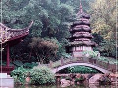 -深圳国际园林花卉博览园