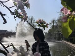 -石家庄市植物园