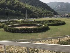 -梦娜斯庄园