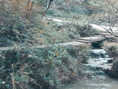 -南山风景名胜区