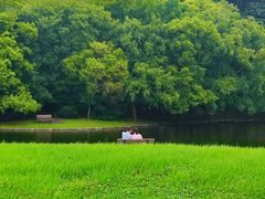 -上海共青森林公园