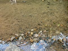 -青龙大瀑布