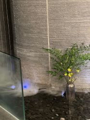 点击看大图 -美壹生皮肤管理中心