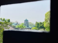 -桂湖森林公园
