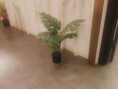-金汤宴餐厅·粤菜(德云社店)