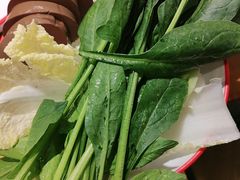 -成老灶火锅鸡(平山店)
