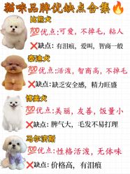 -神奇动物撸宠馆·羊驼·小浣熊·异宠(豫园店)