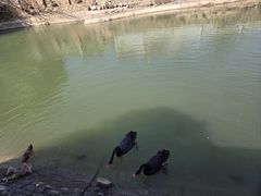 -芭东小镇温泉