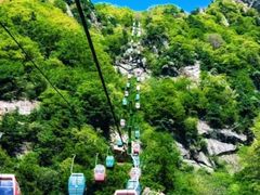 -王顺山国家森林公园
