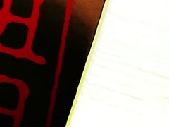 -麦当劳(新洲南路店)