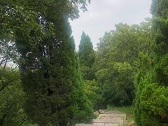 -观象山公园