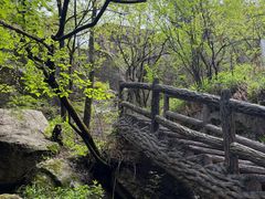 -秦岭终南山世界地质公园翠华山景区