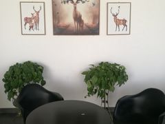 -林栖谷森林康养度假区