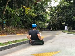 -圣淘沙天际线斜坡滑车