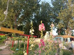 -西安汉城湖景区